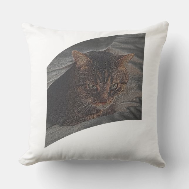 Let the cat rest cushion (Front)