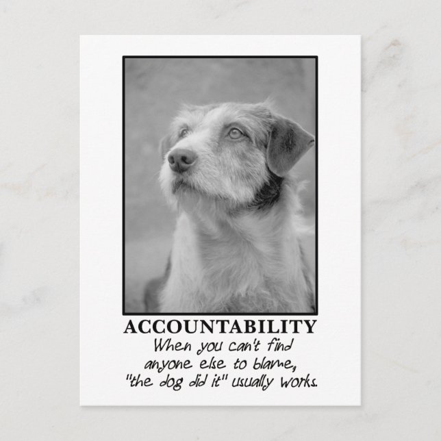 Let the dog take the blame for your farts postcard (Front)