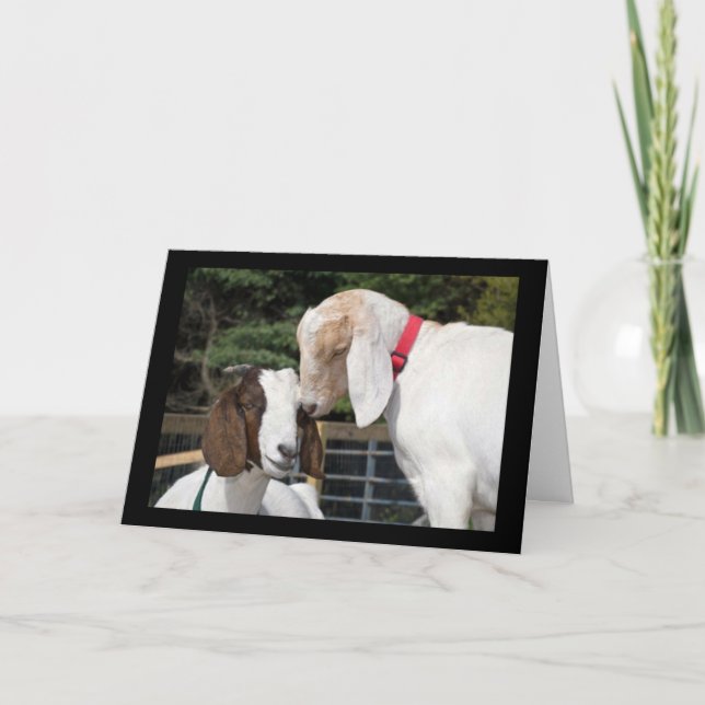 LET THE "KID" IN YOU OUT FOR YOUR BIRTHDAY CARD (Front)