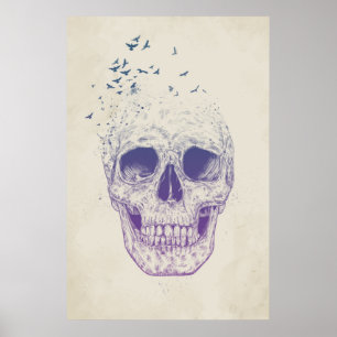 Let them fly poster