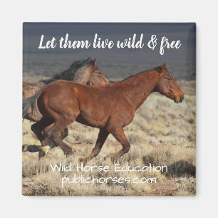 Let Them Live Wild and Free Magnet