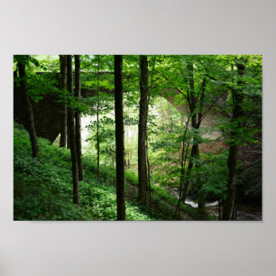 Letchworth Bridge Green Forest Poster