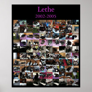 Lethe Poster