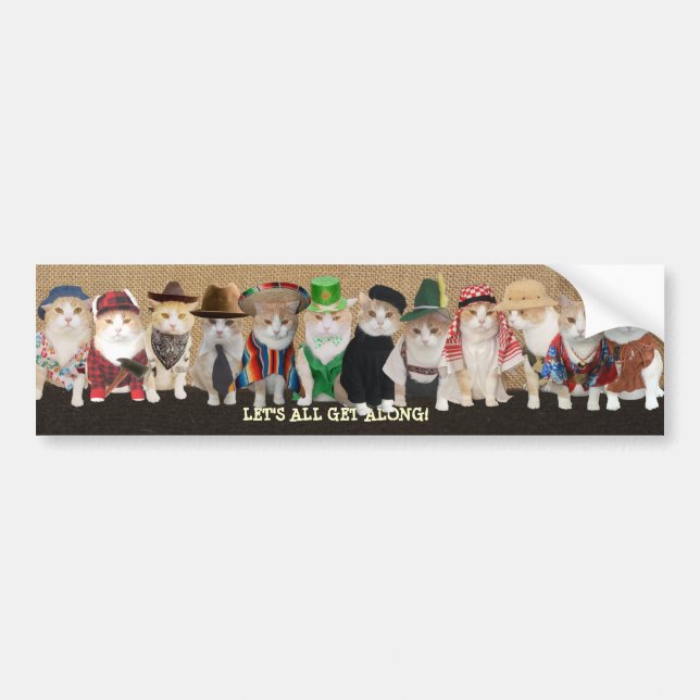 Let's All Get Along Funny Cats Bumper Sticker (Front)