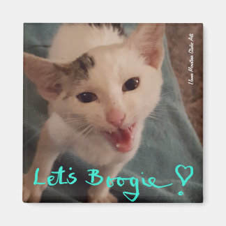 Let's Boogie! kitten magnet