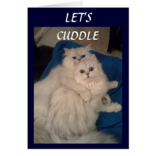 LET'S CUDDLE