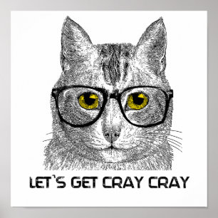 Let's Get Cray Cray Poster