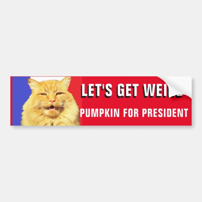 Let's Get Weird Pumpkin for President 2020 Bumper Sticker (Front)