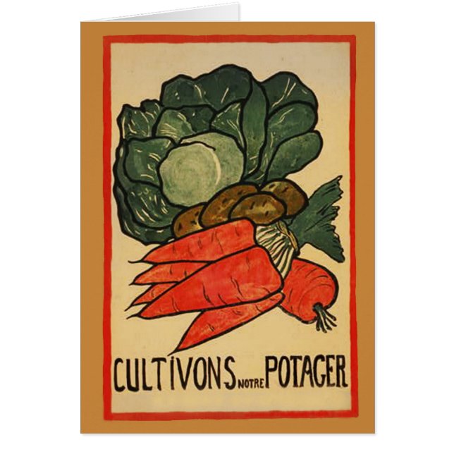Let's Grow a Vegetable Garden (Front)