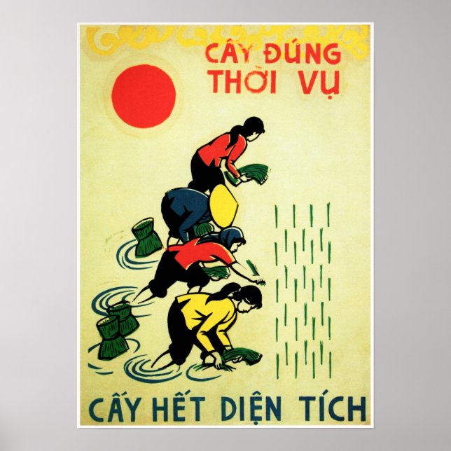 Lets Grow Rice Vietnam Farm Agriculture Propaganda Poster (Front)
