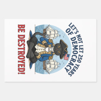 Let's Not Let 250th Years Of Democracy 4th of july Wrapping Paper Sheet