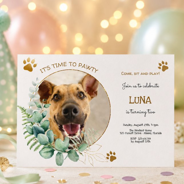 Let's pawty, dog's birthday party invitation (Creator Uploaded)