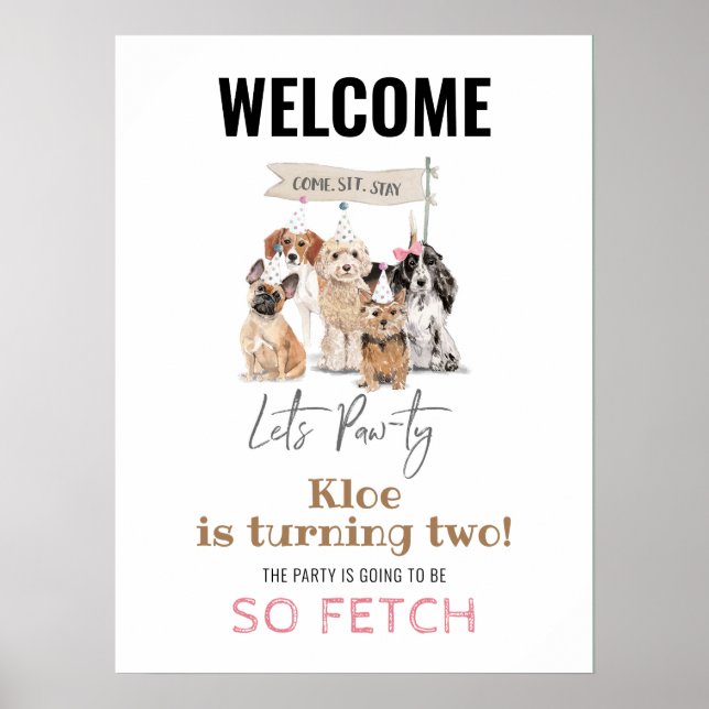 Let's Pawty Puppy Dog Girl's Birthday Welcome Sign (Front)
