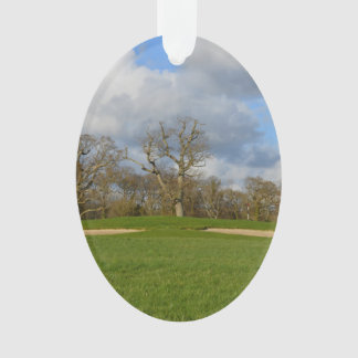 Let's Play Golf Ornament
