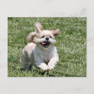 Let's play together postcard