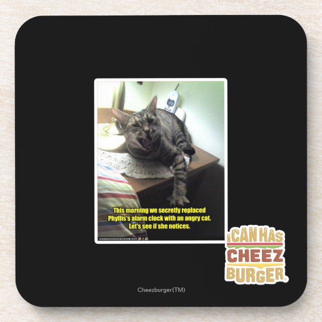 Let's see if she notices. coaster (Front)