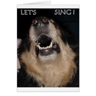 LET'S SING !