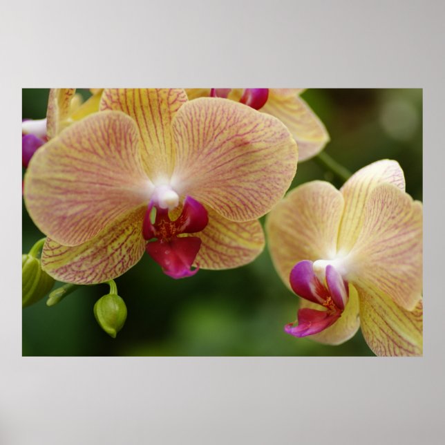 Let's stay together poster (Front)