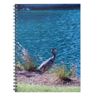 Lets the Colours be Your Guide Notebook