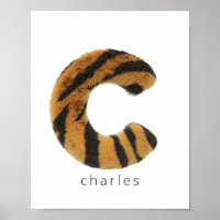 Letter C tiger fur
