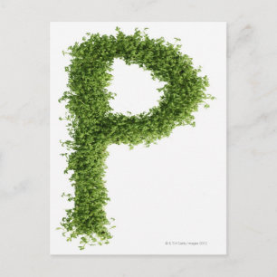 Letter 'P' in cress on white background, Postcard