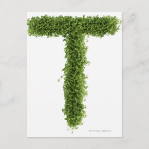 Letter 'T' in cress on white background, Postcard