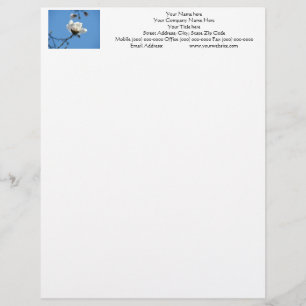 Letterhead custom Blue Sky White Magnolia Flower