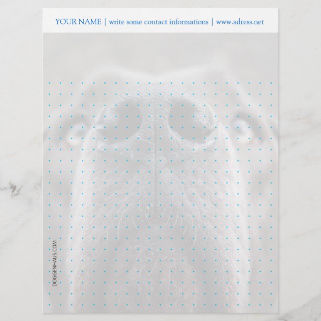 Letterhead Dot Grid (Front)