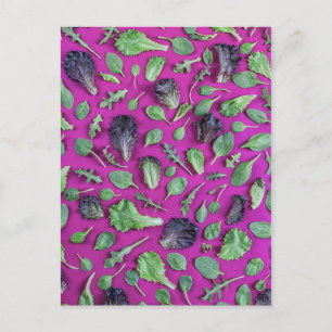 Lettuce Greens on Purple Postcard