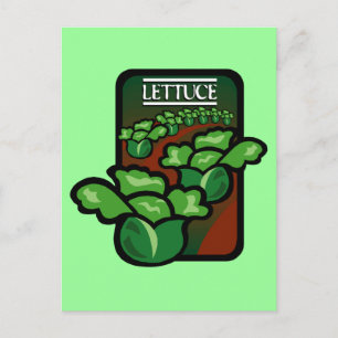 Lettuce Postcard