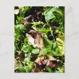 Lettuce Postcard
