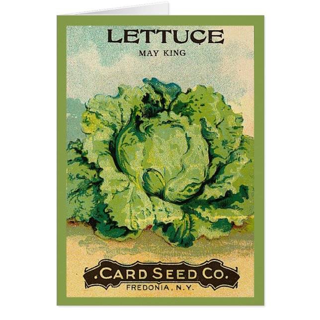 Lettuce Seed Pack (Front)
