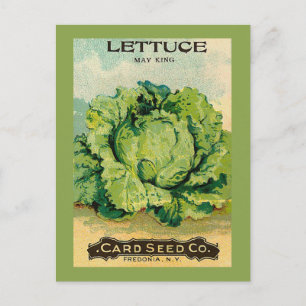 Lettuce Seed Pack Postcard
