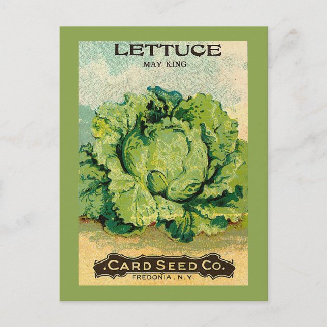 Lettuce Seed Pack Postcard (Front)