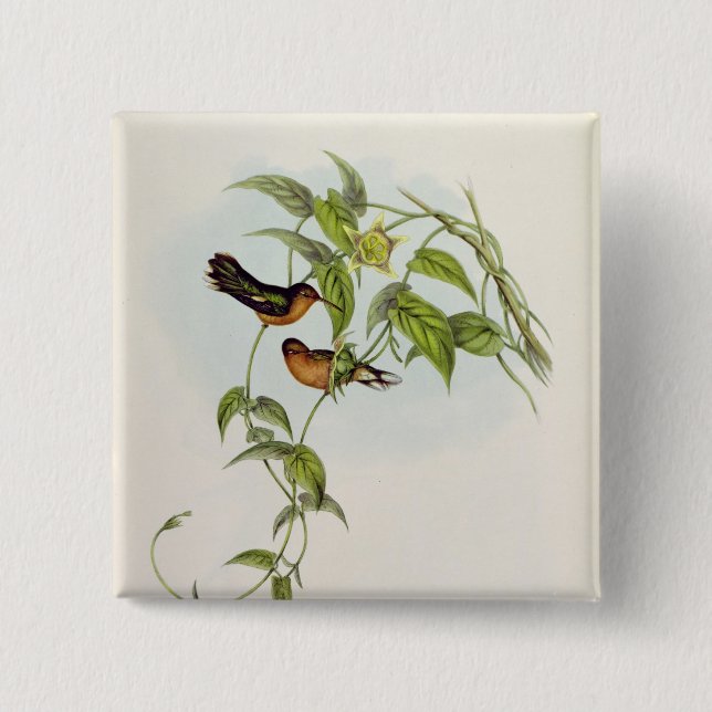 Leucippus Fallax 15 Cm Square Badge (Front)