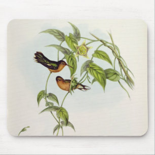 Leucippus Fallax Mouse Pad