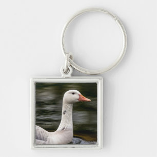 Leucistic Canadian Goose Key Ring