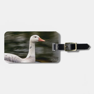 Leucistic Canadian Goose Luggage Tag