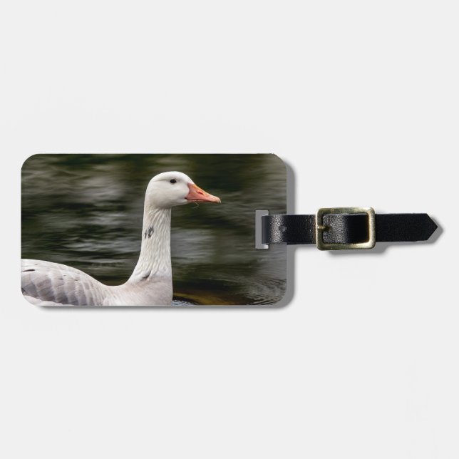 Leucistic Canadian Goose Luggage Tag (Front Horizontal)