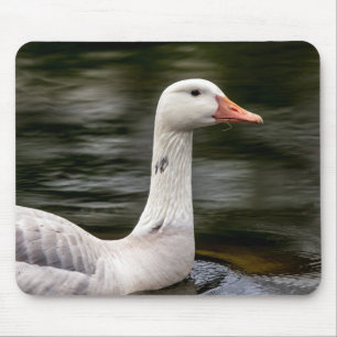 Leucistic Canadian Goose Mouse Pad