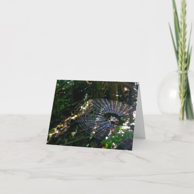 Leugauge Spider Orb Web #2 Note Card (Front)