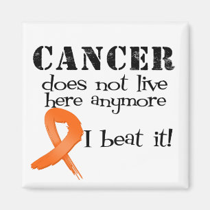 Leukaemia Cancer Does Not Live Here Anymore Magnet