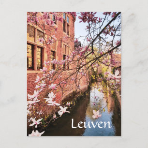 Leuven Belgium travel photo Postcard