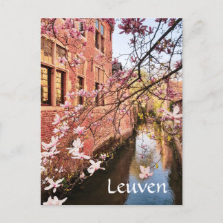 Leuven Belgium travel photo Postcard