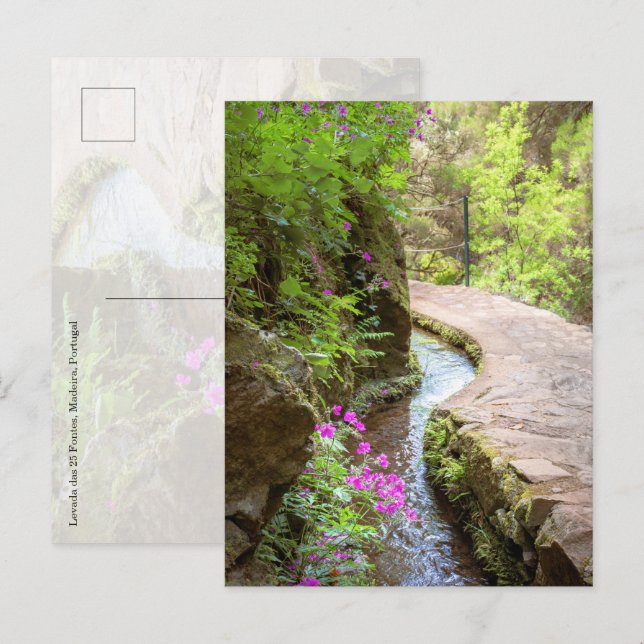 Levada das 25 Fontes Madeira Postcard (Front/Back)