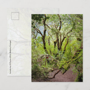 Levada das 25 Fontes Madeira Travel and nature Postcard
