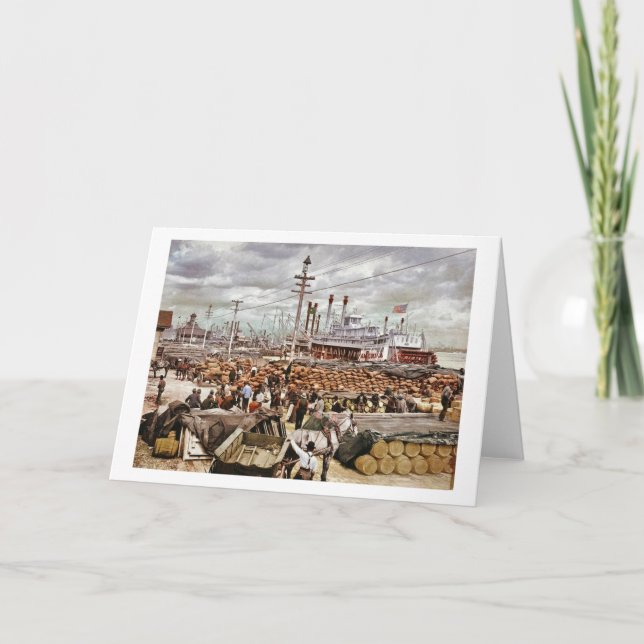 Levee at Canal Street New Orleans 1900 Card (Front)