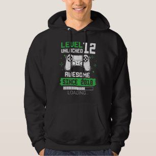 Level 12 Unlocked Awesome Since 2010 Gamer 12th Bi Hoodie