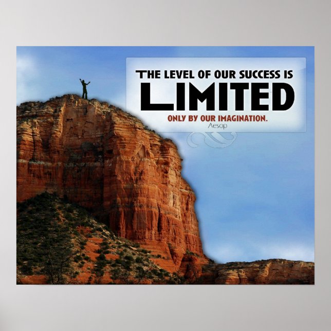 Level of Success Custom Poster (Front)