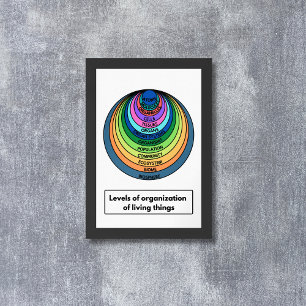 Levels of organization of living things poster